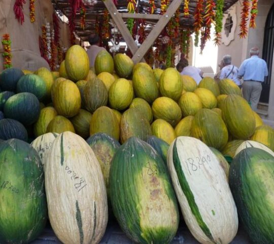 Fiesta del Melón
